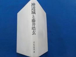 神辺城と藤井皓玄