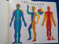 電磁気治療の実際