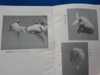 金魚愛玩六十年～飼育体験録