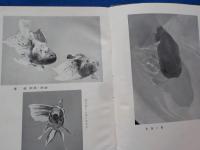 金魚愛玩六十年～飼育体験録