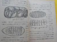 過去の世界の扉