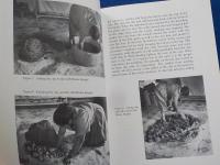 英文  Santa  Clara  Pottery  Today