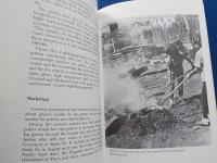 英文  Santa  Clara  Pottery  Today