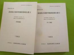 長瀬高浜遺跡発掘調査報告書Ⅳ　（本文編）（図録編）