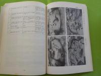 長瀬高浜遺跡発掘調査報告書Ⅳ　（本文編）（図録編）