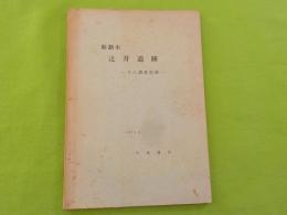 姫路市　辻井遺跡～その調査記録
