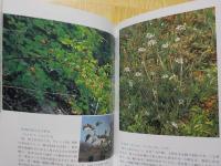奥津町の植物