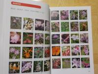 おかやまの山歩き　　花・木１００選と花10名座