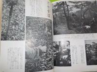 寫眞記録　日本鳥類狩猟法（普及版）
