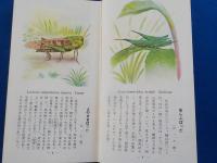 原色少年昆蟲圖鑑