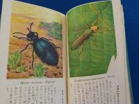 原色少年昆蟲圖鑑