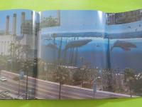THE  ART  OF  WYLAND