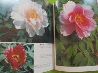 牡丹百花集　　ボタン観賞への誘い