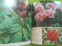 牡丹百花集　　ボタン観賞への誘い
