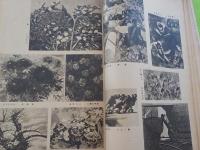 第１３回　獨立展集