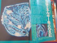ワンダーライフ　　第２号