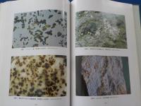 山口県鉱物誌～山口県産鉱物の研究～