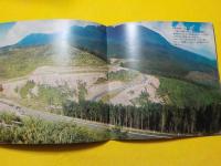 九州横断道路の～ごあんない