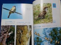 信州の自然誌　　スズメ　人里の野鳥