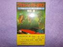 プロジェクト910～ブルーバードに賭けた男たち