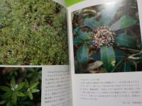 続　　岡山の野の花