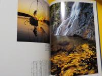 神秘の国　　熊野