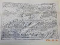 京都御室大内山仁和寺眞圖