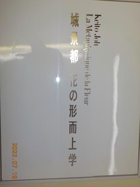 城景都 花の形而上学(城景都) / 古書夢や / 古本、中古本、古