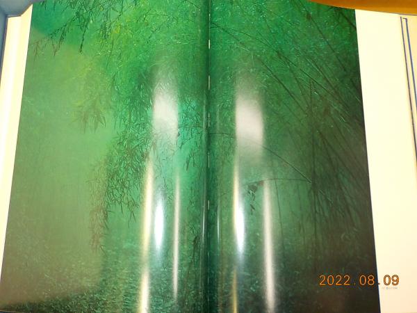 高質で安価 桂離宮 写真集 講談社西川孟, 内藤昌 大型豪華本 住まい