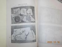 塩原の化石