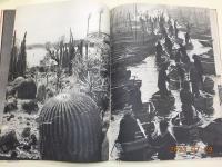 風景作品集