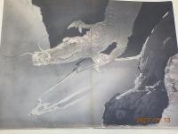 栖鳳畫伯筆十二支帖