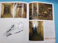 特別展　１４００年のタイムカプセル　斑鳩　藤ノ木古墳をめぐるナゾ