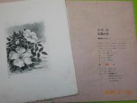 木村茂銅版画集　「北国の花」