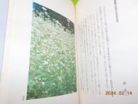 八月十五日　花の記憶