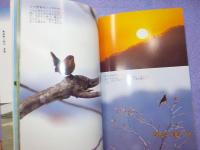 鳥海山　花と生きものたちの森