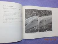 川を見る　　　河床の動態と規則性