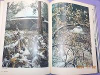 武蔵野