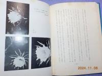 二千年の花　正続