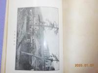 養蜂全書