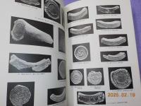 特別展　　吉備の古代瓦