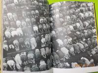 写真集　アフガン　アフガニスタン（1978～1988）