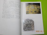 特別展　　国分寺