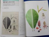 植物の世界　第2号　ナテュラルヒストリーへの招待