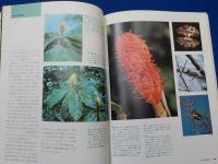 植物の世界　第2号　ナテュラルヒストリーへの招待