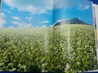 オールカラー豪華写真集　　日本の四季