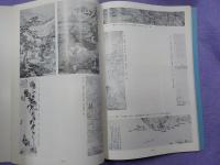 明清の美術（中国美術展シリーズ5）