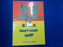 特別展　　藤ノ木古墳　～　古代の文化交流を探る