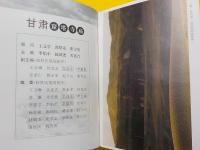 中文　　　甘粛窟塔寺廟