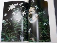 写真集　　夢ぼとけ